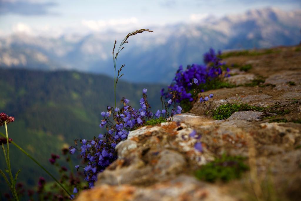 Landhotel Gruben Oberstdorf Dış mekan fotoğraf