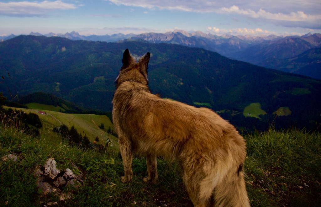 Landhotel Gruben Oberstdorf Dış mekan fotoğraf